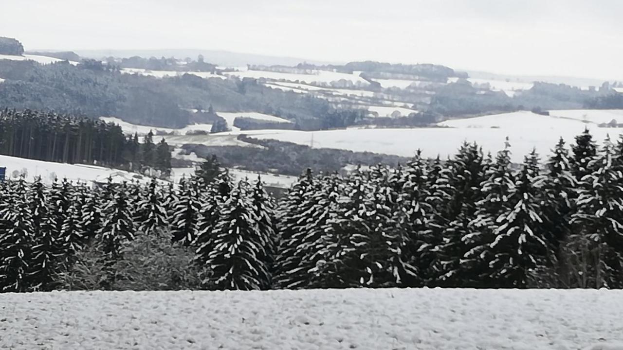 Eifel-Ferienhaus Marga Prüm Exterior foto